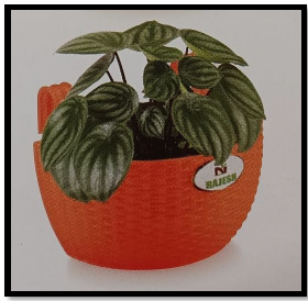 Specializing In Eco-Friendly Décor Solutions,