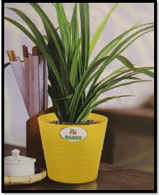 Specializing In Eco-Friendly Décor Solutions,