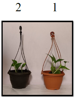Specializing In Eco-Friendly Décor Solutions,