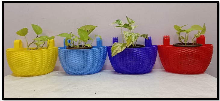 Specializing In Eco-Friendly Décor Solutions,