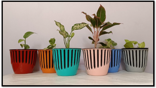 Specializing In Eco-Friendly Décor Solutions,