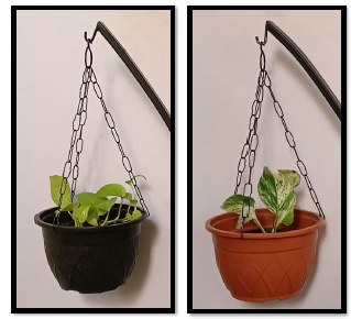 Specializing In Eco-Friendly Décor Solutions,