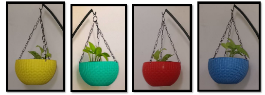 Specializing In Eco-Friendly Décor Solutions,