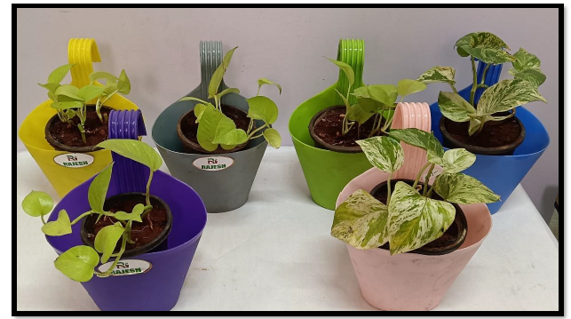 Specializing In Eco-Friendly Décor Solutions,