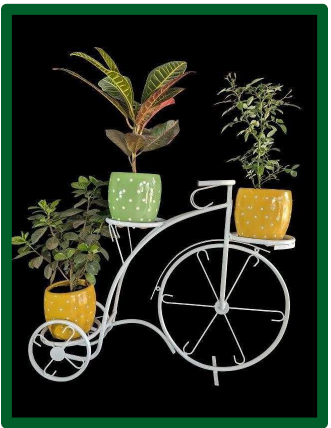 Specializing In Eco-Friendly Décor Solutions,