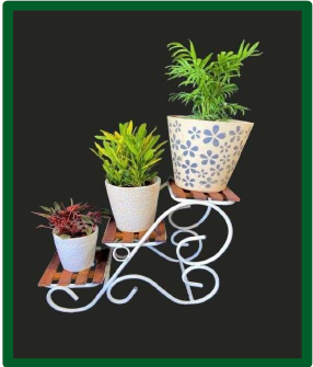 Specializing In Eco-Friendly Décor Solutions,
