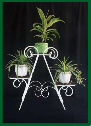 Specializing In Eco-Friendly Décor Solutions,